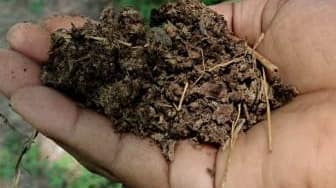 गोबर की खाद कैसे बनाये (Farm Yard manure)