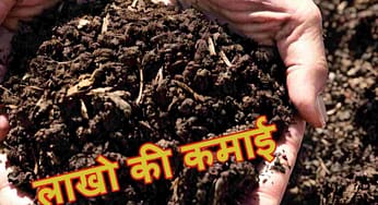 वर्मी कम्पोस्ट खाद